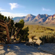 Image for article titled 44 Of The Best Smartphone Photos You Can Take